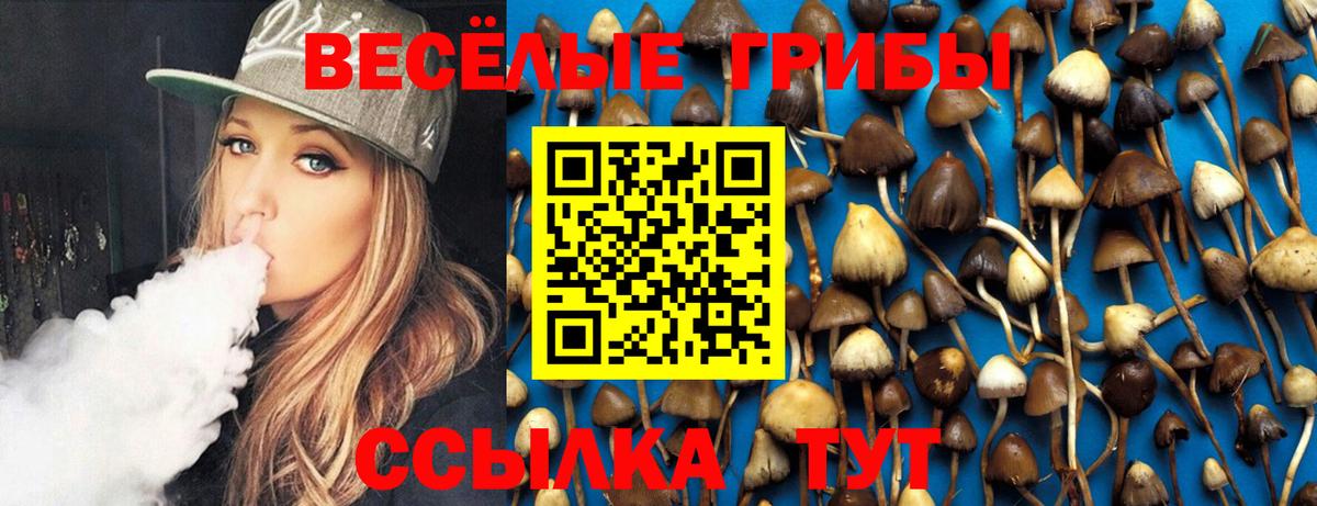 Галлюциногенные грибы GOLDEN TEACHER Карталы