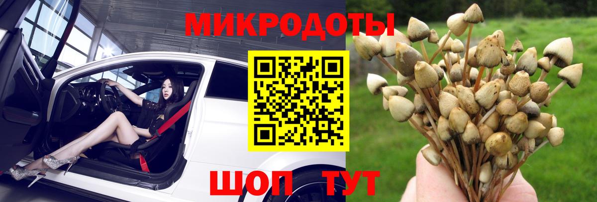 Псилоцибиновые грибы Cubensis  Вход с VPN  Карталы 